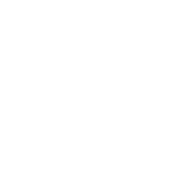The DNA Company (Dev) logo
